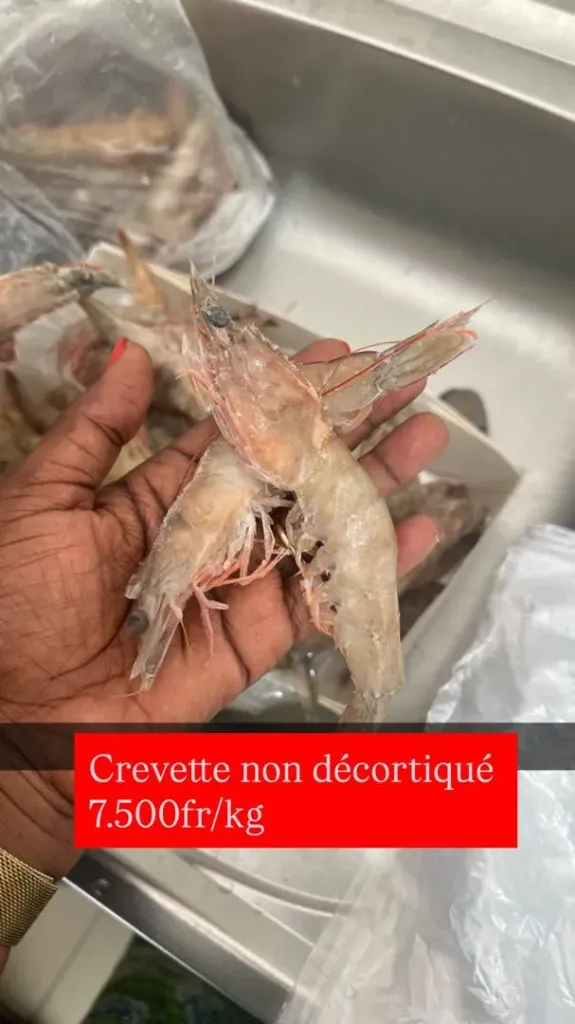 Crevette