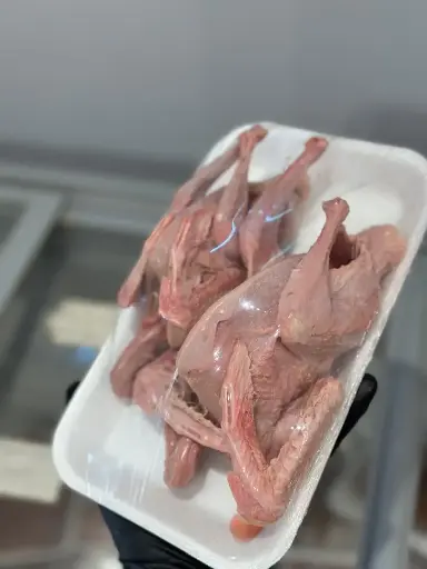 Paire de pigeons