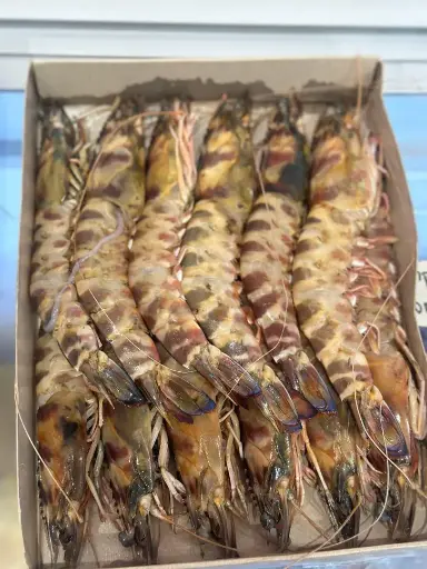 Gambas taille 1