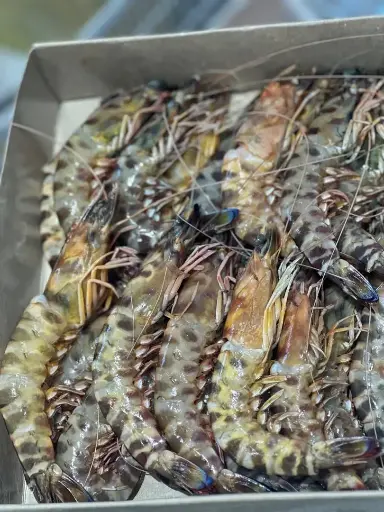 Gambas taille 2